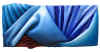 dolore nel blu mare.JPG (754793 byte)