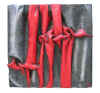 rouge et noir.JPG (38143 byte)